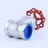 Stainless Steel Gate Valve