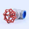 Stainless Steel Gate Valve