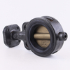  Center Line Butterfly Valve