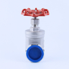 Stainless Steel Gate Valve
