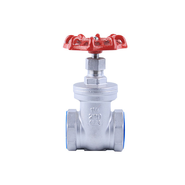 Stainless Steel Gate Valve