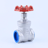 Stainless Steel Gate Valve