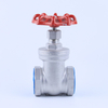Stainless Steel Gate Valve