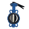 Cast iron butterfly valve with grip