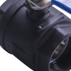 Q11F-16CTwo-piece Carbon Steel Ball Valve with Internal Thread