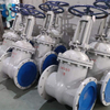 Z41H-16C Cast Steel Flange Connection Gate Valve