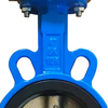 Cast iron butterfly valve with grip