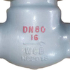 H44H-16C/25C/40C Cast Steel Swing Check Valve
