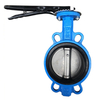 Cast iron butterfly valve with grip