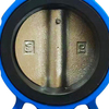 Cast iron butterfly valve with grip