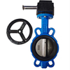 Cast iron butterfly valve with grip